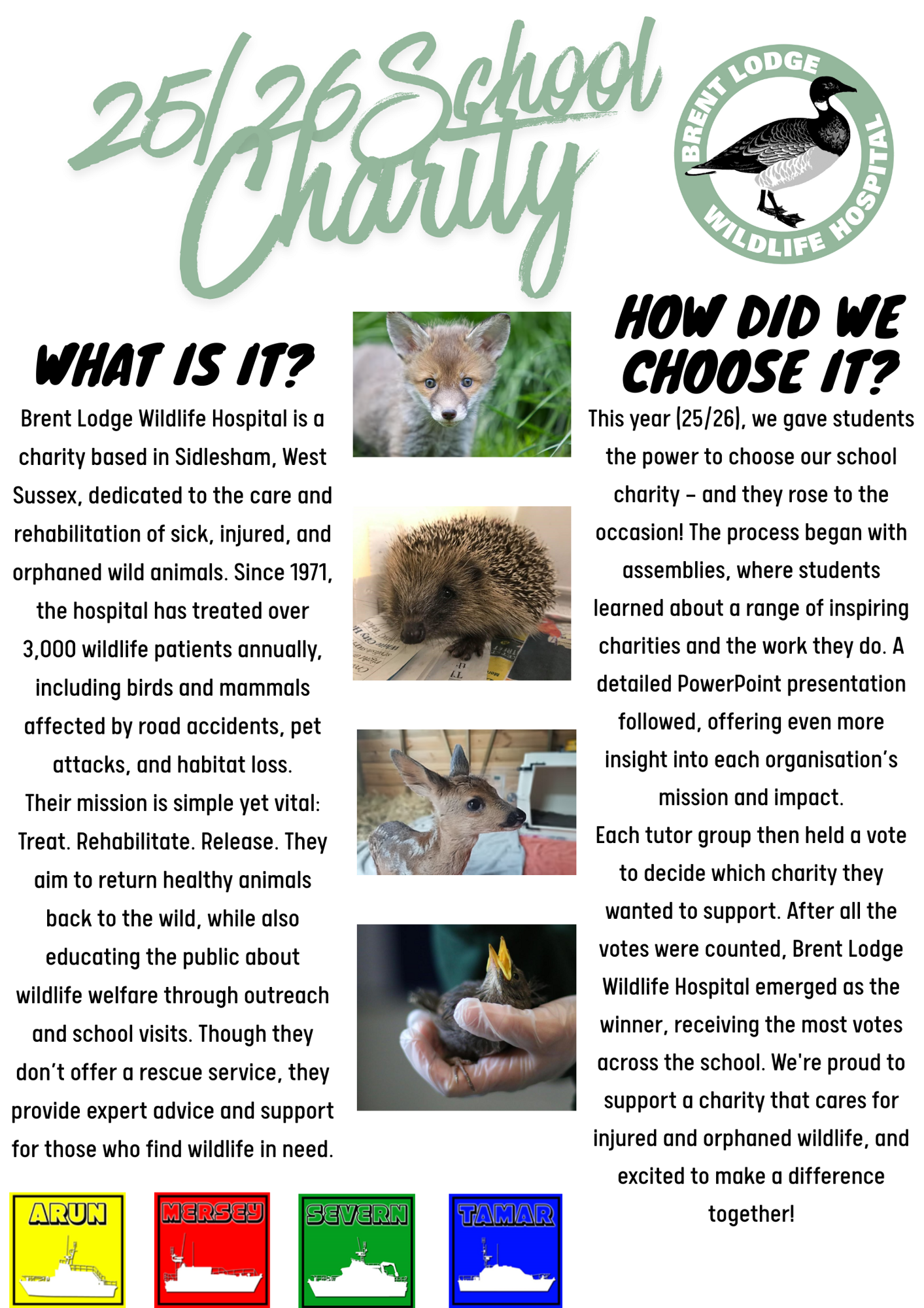 Brent Lodge Wildlife Hospital